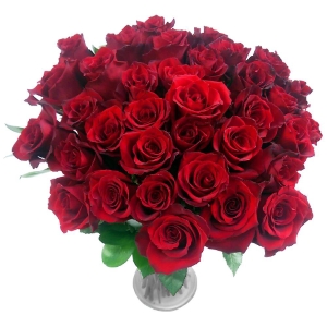 A Bouquet of Red Roses